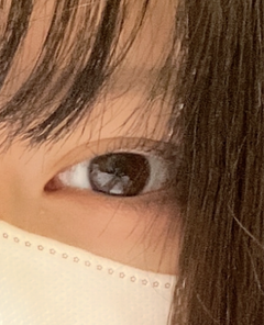 レビュー写真