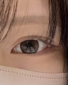 レビュー写真