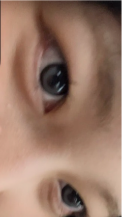 レビュー写真