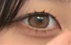 レビュー写真