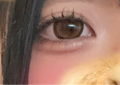レビュー写真