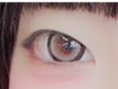 レビュー写真