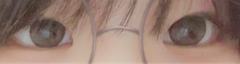レビュー写真
