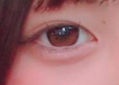 レビュー写真