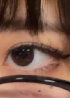 レビュー写真