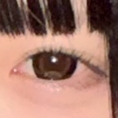 レビュー写真