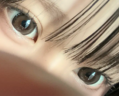 レビュー写真