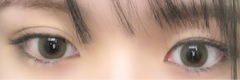 レビュー写真