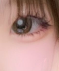 レビュー写真