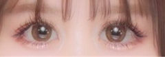 レビュー写真
