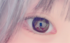 レビュー写真