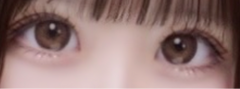 レビュー写真