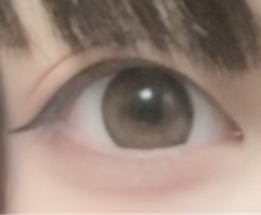 レビュー写真
