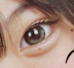 レビュー写真