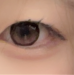 レビュー写真