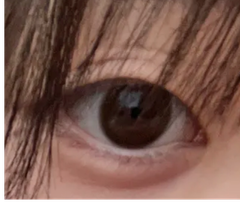 レビュー写真