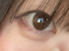 レビュー写真