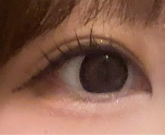 レビュー写真