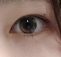 レビュー写真
