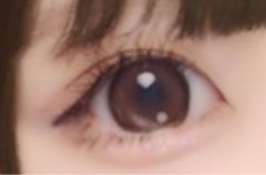 レビュー写真