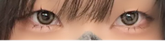 レビュー写真