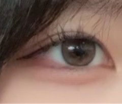 レビュー写真