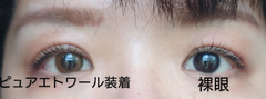レビュー写真