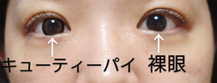 レビュー写真