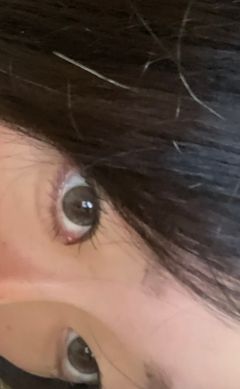 レビュー写真
