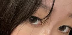 レビュー写真