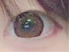 レビュー写真