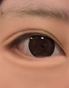 レビュー写真