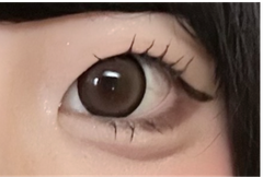 レビュー写真