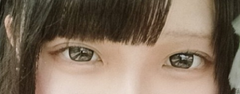 レビュー写真
