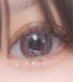 レビュー写真