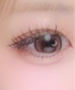 レビュー写真