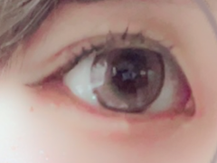 レビュー写真