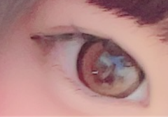 レビュー写真
