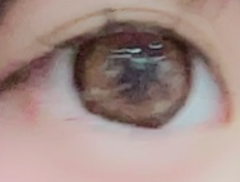レビュー写真