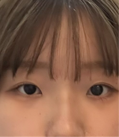 レビュー写真