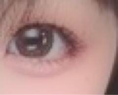 レビュー写真