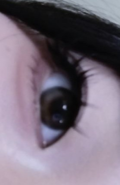 レビュー写真