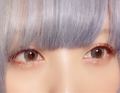 レビュー写真