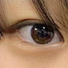 レビュー写真