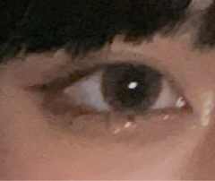 レビュー写真