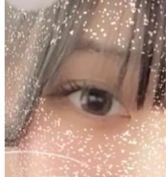 レビュー写真