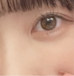 レビュー写真