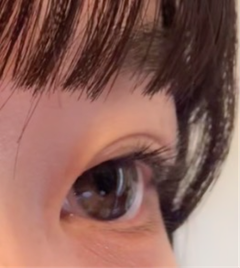 レビュー写真