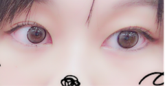 レビュー写真