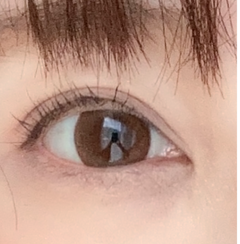 レビュー写真